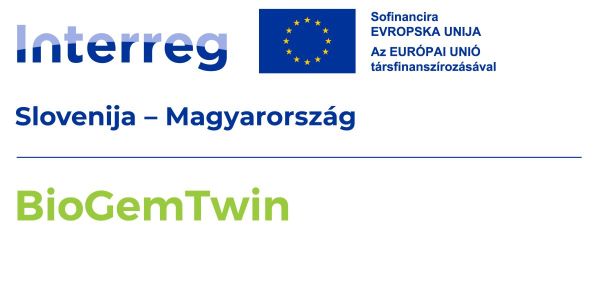 Projekti
